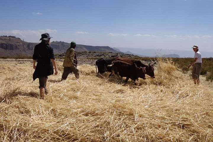 Lasta Mountains: Highland Eco Trekking Tour in Lalibela photo 5
