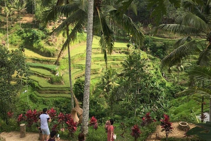 Balinese Life Style Tour photo 4