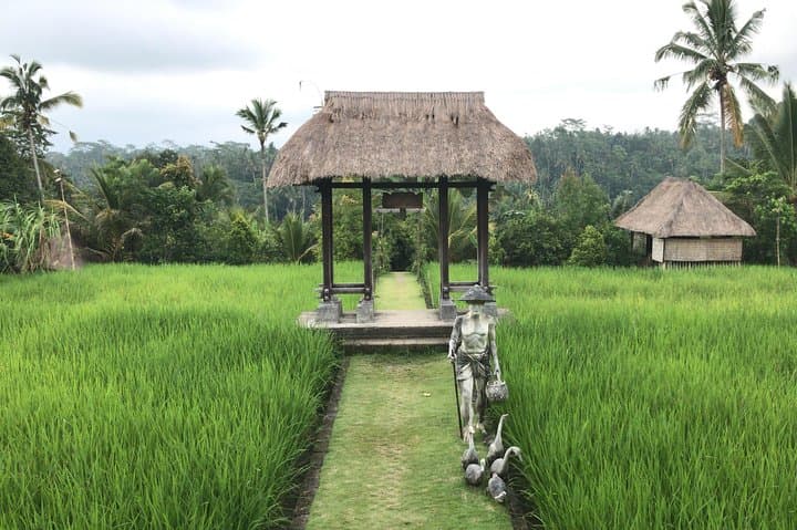 Balinese Life Style Tour photo 5