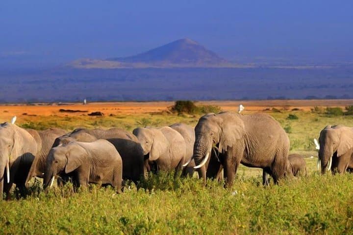 10 Days Maasai Mara photographer safari photo 2