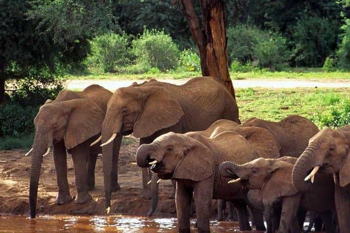 10 Days Maasai Mara photographer safari photo 5