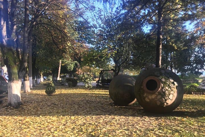 Full Day Private Wine Tour in Kakheti Region with Lunch and 3 Wine Tastings photo 4