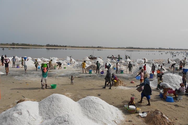 Full-day Bandia / Somone Lagoon: The safari experience photo 4