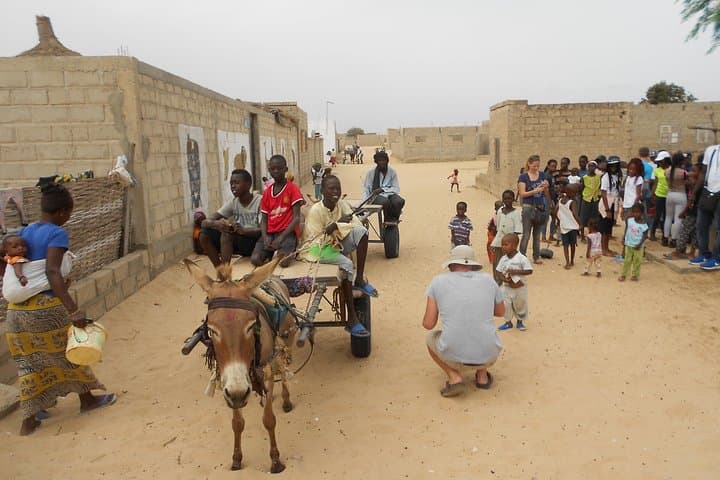 Full-day Bandia / Somone Lagoon: The safari experience photo 5