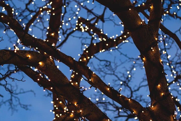 Iceland's Christmas Myths and Traditions - Reykjavík walking tour photo 4