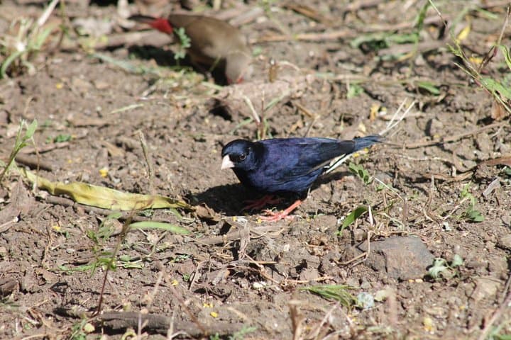 Day Trip to Rock Hewn Churches of Lalibela photo 4