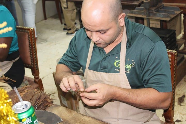 Rum Reggae and Rhythms Tour: Dancing and Cocktails photo 4