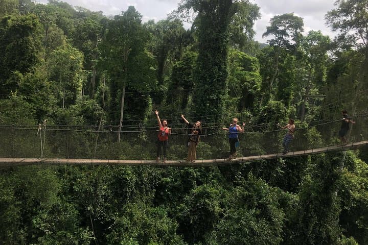 Cape Coast/Elmina Slave Dungeon and Canopy Walkway Private Tour photo 4