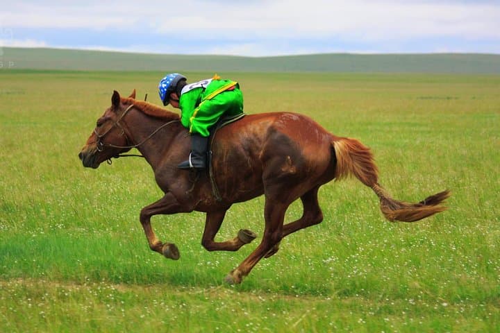 Naadam Festival Tour — 2 Days (11-12 July 2025)