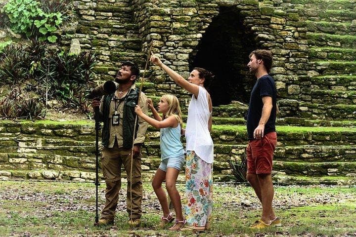Birdwatching at The Mayan Cities with certified guide photo 3