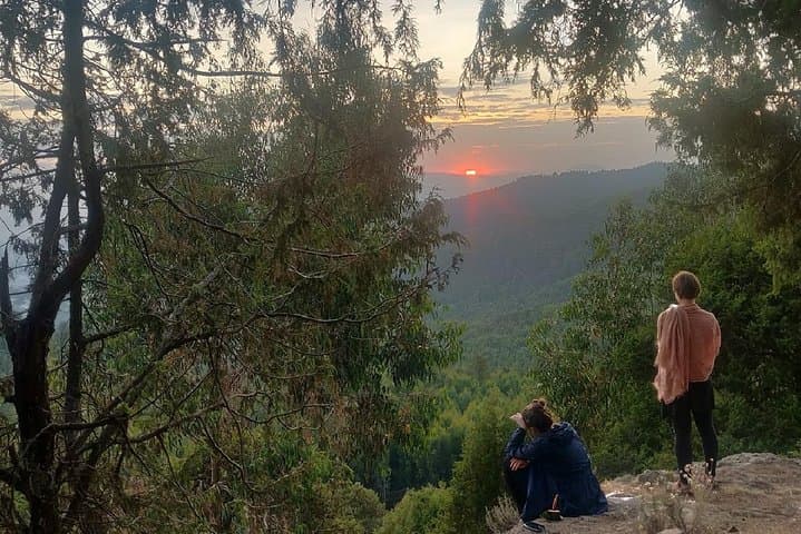 Addis Ababa: Debre Libanos, Blue Nile Gorge, and Cave Tour photo 4