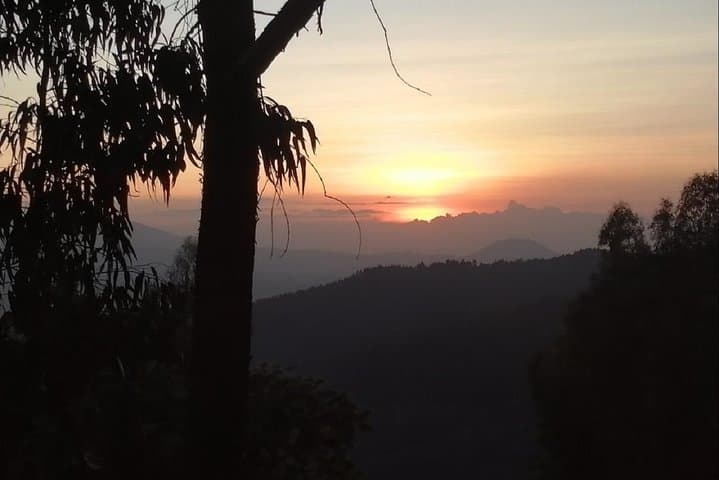 Addis Ababa: Debre Libanos, Blue Nile Gorge, and Cave Tour photo 5