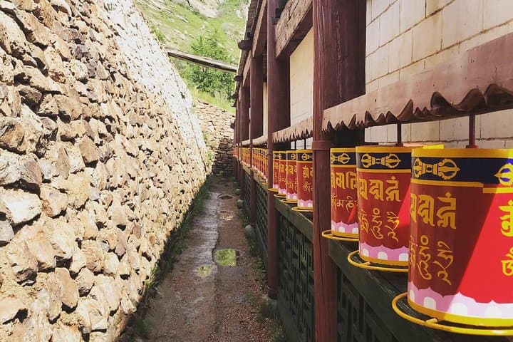  Horse riding in Terelj National Park  photo 3