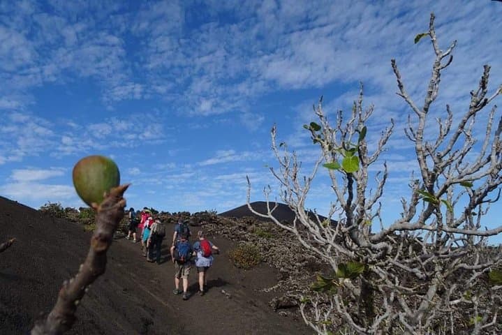Volcano Trekking Tour (Timanfaya eruptions)  photo 4