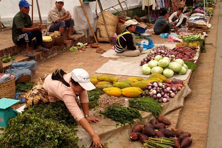 Luang Prabang Early Morning Alms Giving and Wet Market photo 4