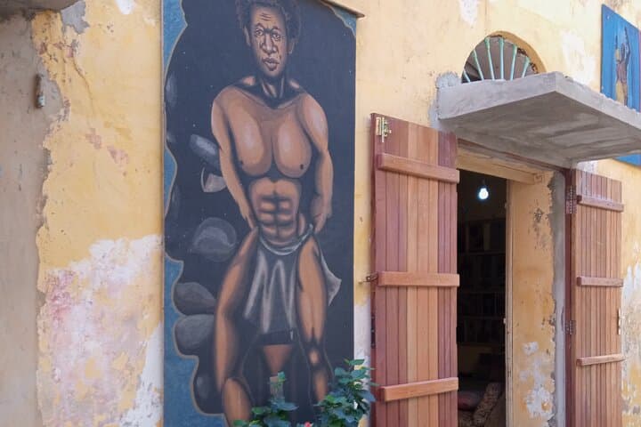 Half Day Tour : Explore Goree island photo 2