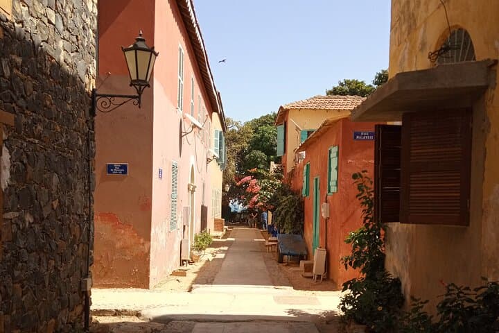 Half Day Tour : Explore Goree island photo 4