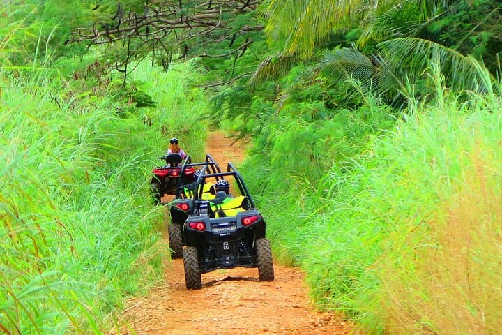Off Road Buggy Adventure photo 4