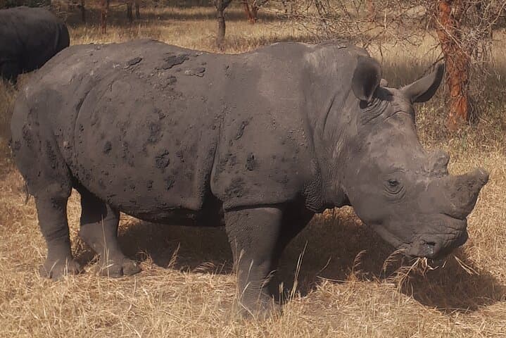 Day Tour Bandia Wildlife Reserve and pink lake  photo 2