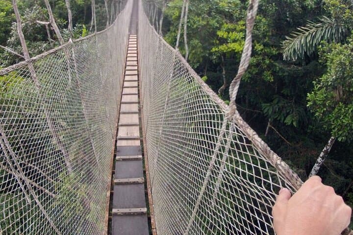 5-Day All Inclusive Guided Jungle Tour from Iquitos at Maniti Eco-Lodge photo 5