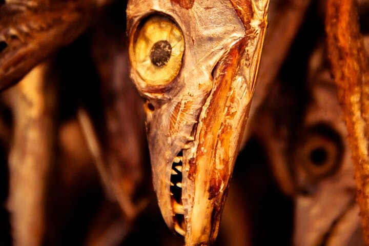 Photography Tour of Mesmerizing Markets of Kolkata photo 2