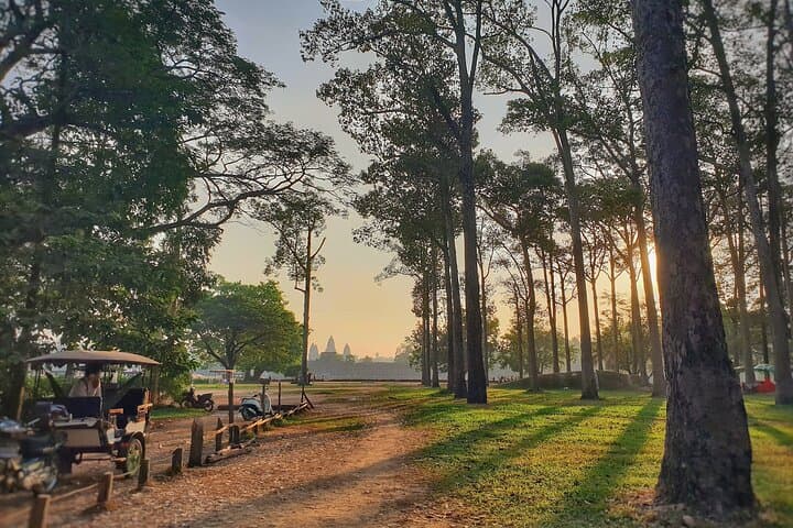 Private Temples Guided Tour (Angkor Wat, Ta Prom & Angkor Thom) photo 4