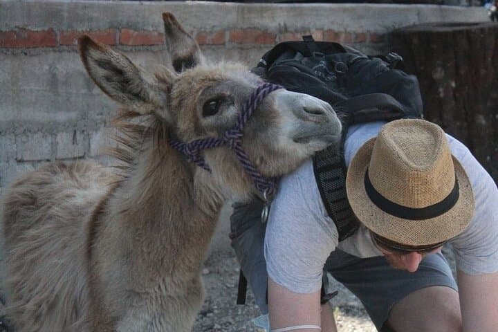 Mezcal Tour Oaxaca photo 3