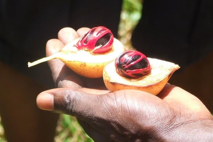 Zanzibar Cooking Class [Swahili food test ] and Spice farm Private tour photo 5