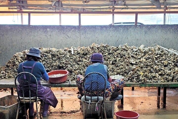 Busan Seafood Tour : Oyster village Tour with Oyster cuisines  photo 3