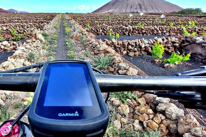Lanzarote E-Bike Tour: Volcano Craters & Scenic Vineyards photo 3