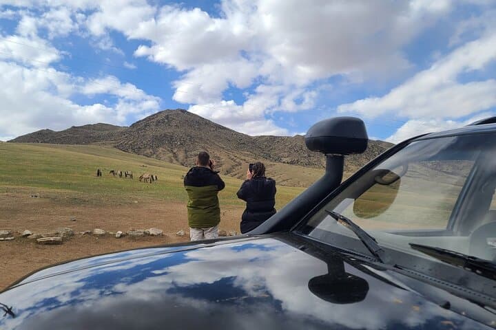 Wildlife Watching Day Tour at Hustai National Park photo 4