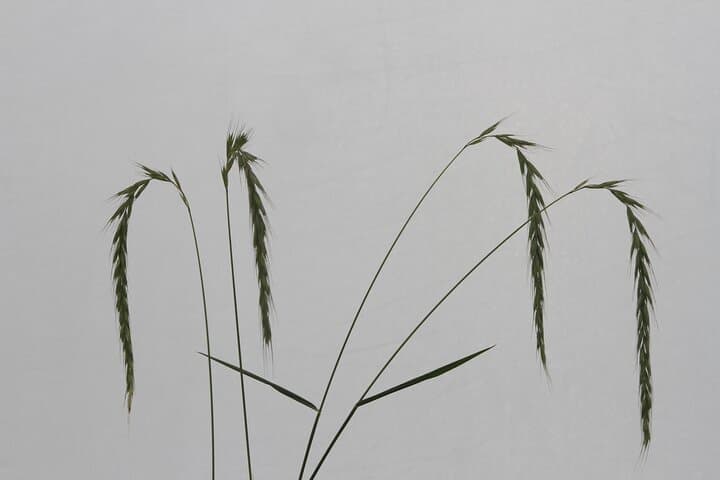 Wildlife Watching Day Tour at Hustai National Park photo 5