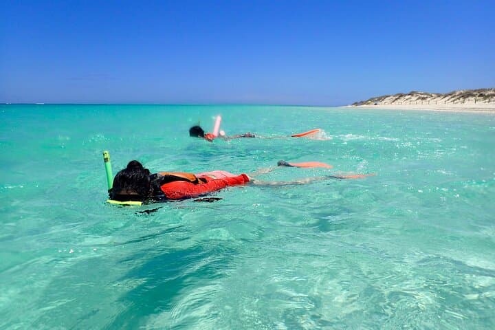 Ningaloo Reef Snorkel Adventure photo 5