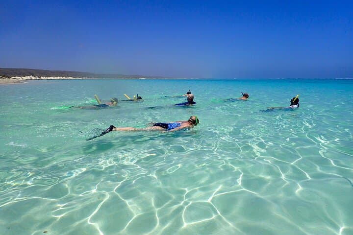 Ningaloo Reef Snorkel Adventure photo 3