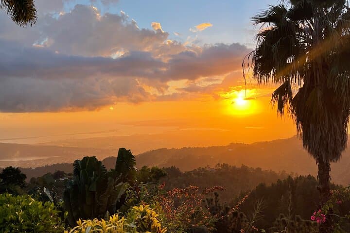 Exotic Blue Mountain Coffee Tour photo 2