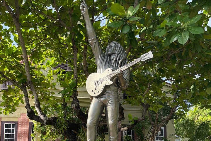 Exotic Blue Mountain Coffee Tour photo 5