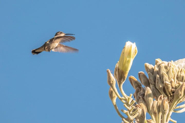 Mountain Hike & Rituals  photo 4