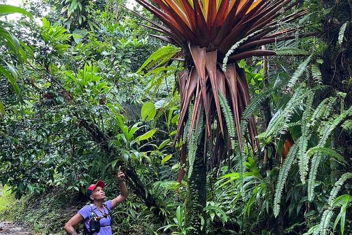 Wildlife Hike Middleham Falls photo 3