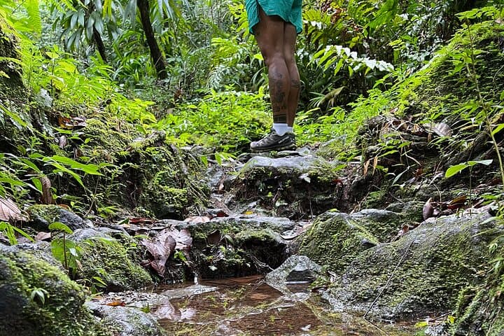 Wildlife Hike Middleham Falls photo 5