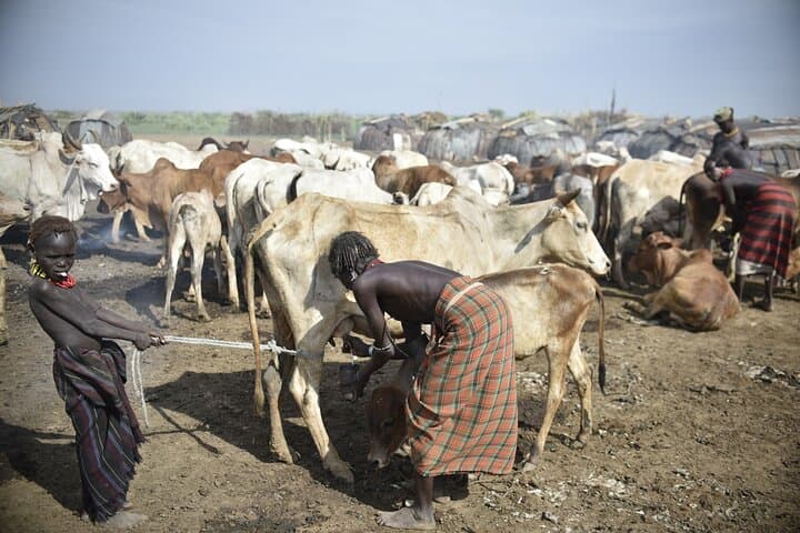 Photography Expeditions to Omo Valley photo 5