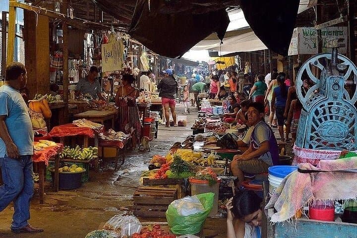 Private Tour in Belen Market, Floating City and Amazon River photo 2