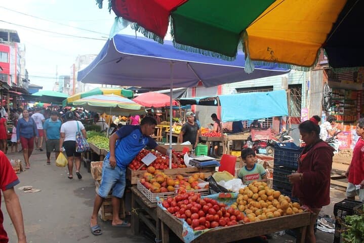 Private Tour in Belen Market, Floating City and Amazon River photo 5