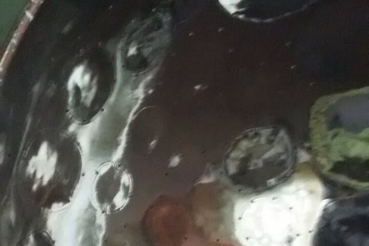 Personalized Cultural Crawl in Port of Spain  photo 5