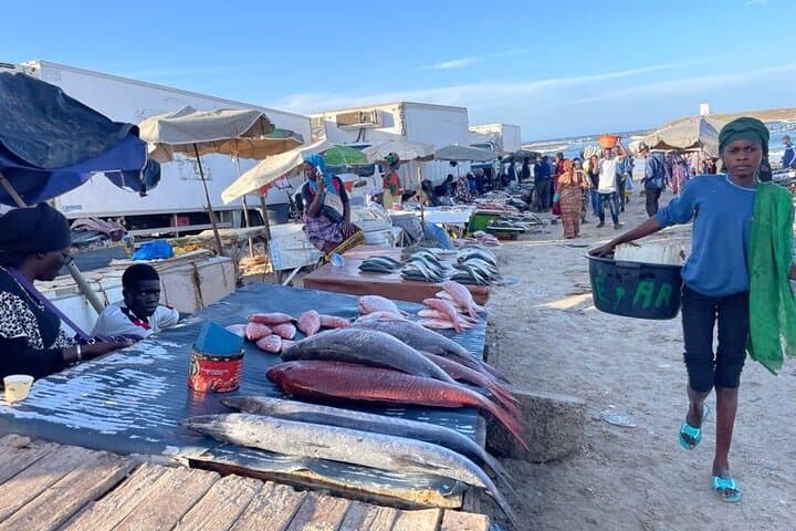 Full Day Private Tour in Dakar: move, eat, act like a local photo 2