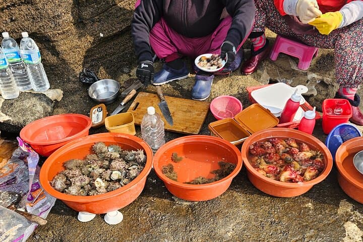 Small Group Jeju island Private Mini-Bus Tour photo 5