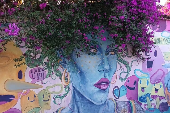 Bicycle Tour through Oaxaca learning about its Urban Art and History photo 4