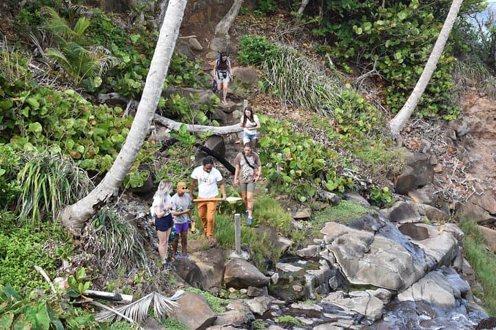 Cultural Tours Of Kalinago Territory of Dominica with Past Chief photo 2