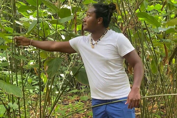 Cultural Tours Of Kalinago Territory of Dominica with Past Chief photo 4