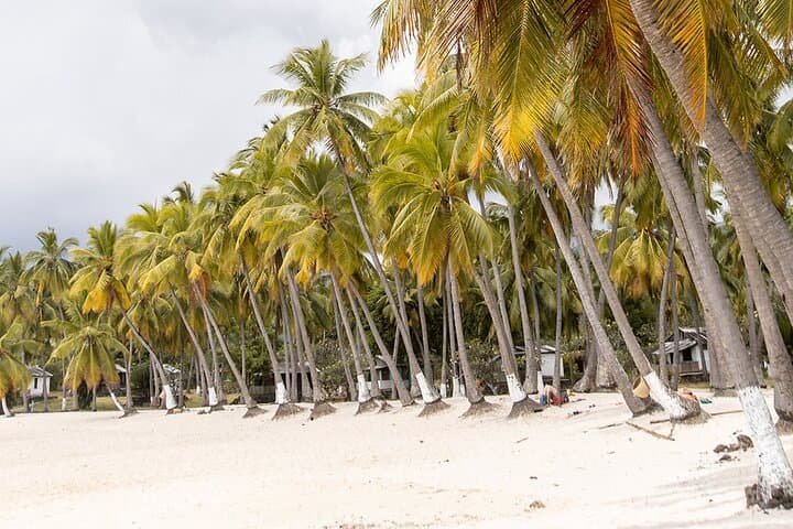 Northern Grand Comore Guided Tour photo 4