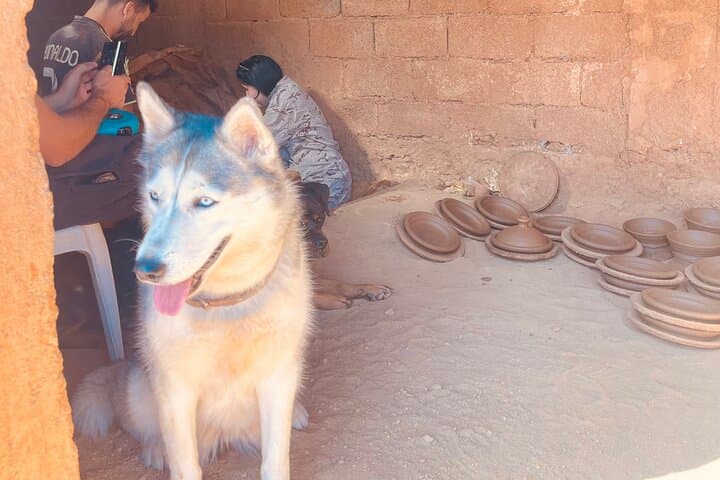 Marrakech: Spend Natural day Pottery, walk and pool photo 3